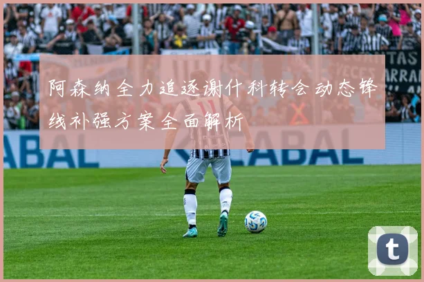 阿森纳全力追逐谢什科转会动态锋线补强方案全面解析